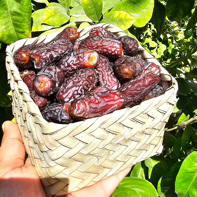 piyarom4 خرید خرما پیارم