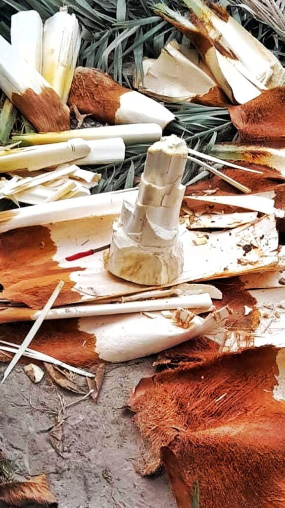 پنیر خرما