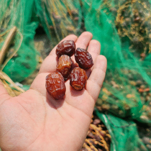 خرما، تمر