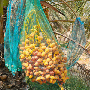خارک، خلال